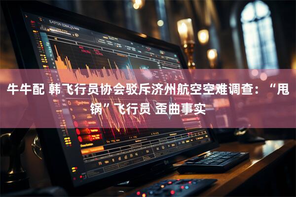 牛牛配 韩飞行员协会驳斥济州航空空难调查：“甩锅”飞行员 歪曲事实