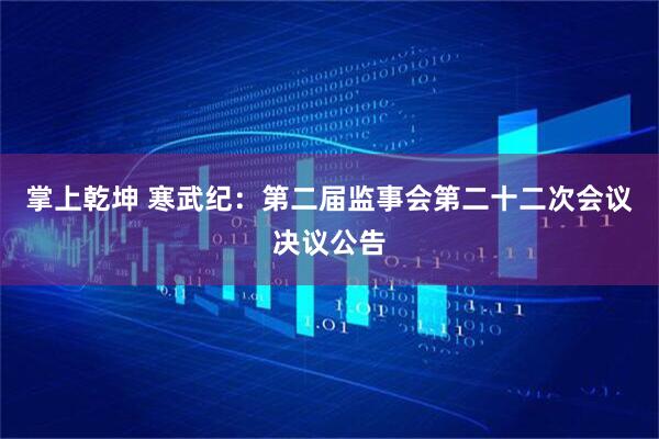 掌上乾坤 寒武纪：第二届监事会第二十二次会议决议公告