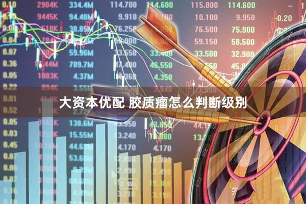 大资本优配 胶质瘤怎么判断级别