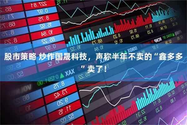 股市策略 炒作国晟科技，声称半年不卖的“鑫多多”卖了！